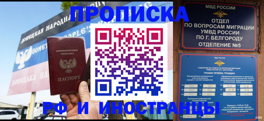временная регистрация 2025 в Кольчугино